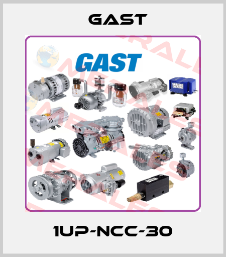 1UP-NCC-30 Gast