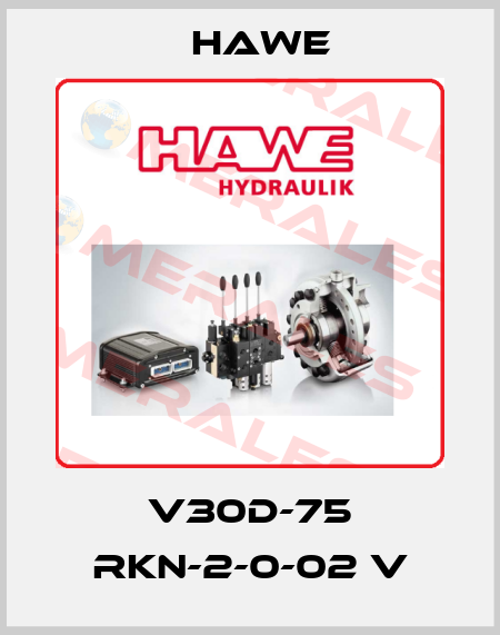 V30D-75 RKN-2-0-02 V Hawe