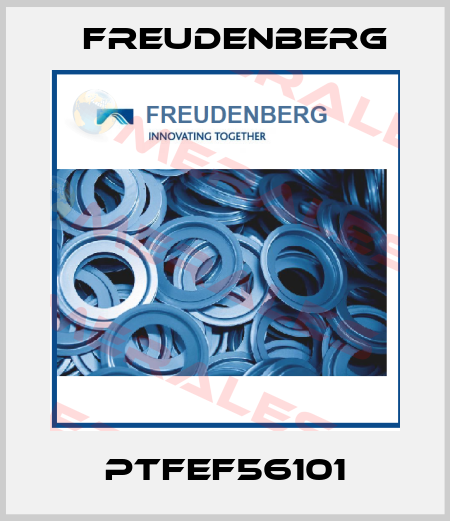 PTFEF56101 Freudenberg