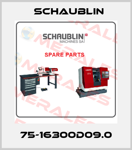 75-16300D09.0 Schaublin