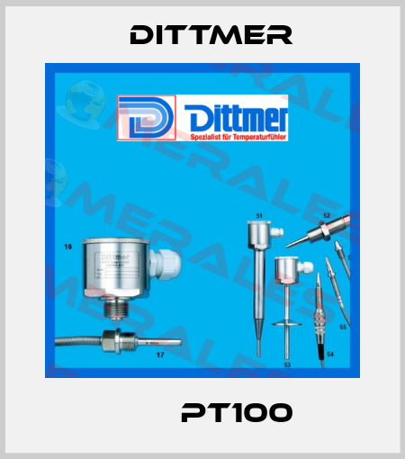НСХ Pt100 Dittmer