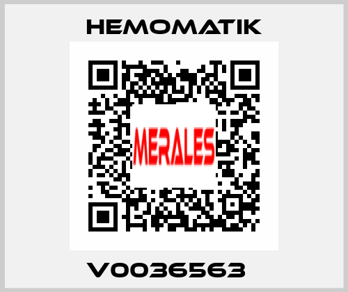 V0036563   Hemomatik