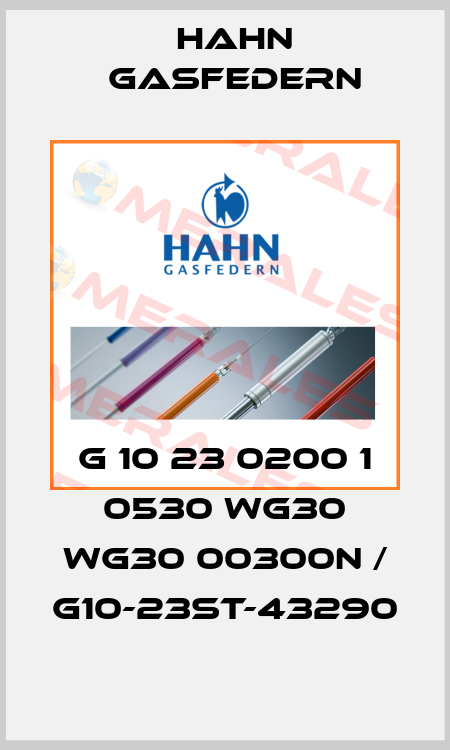 G 10 23 0200 1 0530 WG30 WG30 00300N / G10-23ST-43290 Hahn Gasfedern