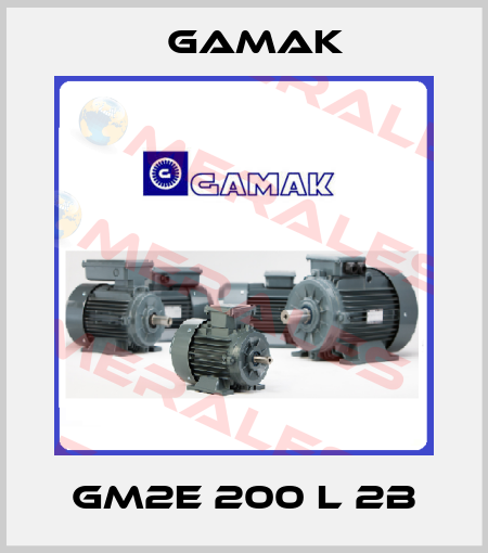 GM2E 200 L 2b Gamak