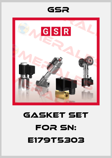 gasket set for SN: E179T5303 GSR