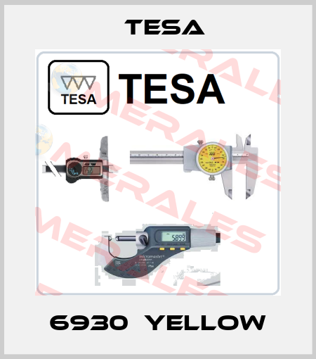 6930  yellow Tesa