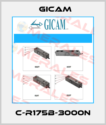 C-R175B-3000N Gicam