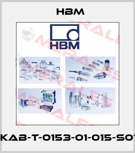 K-KAB-T-0153-01-015-S015 Hbm