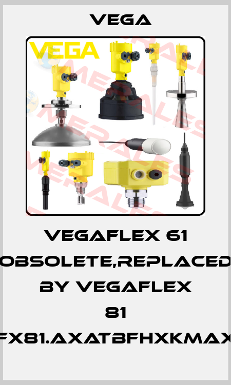 VEGAFLEX 61 obsolete,replaced by VEGAFLEX 81 (FX81.AXATBFHXKMAX) Vega