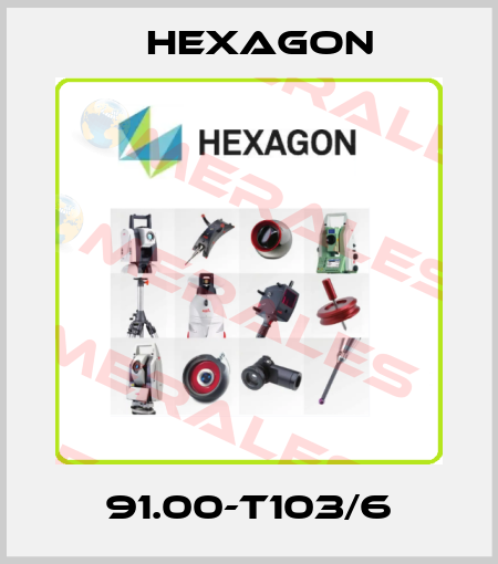 91.00-T103/6 Hexagon