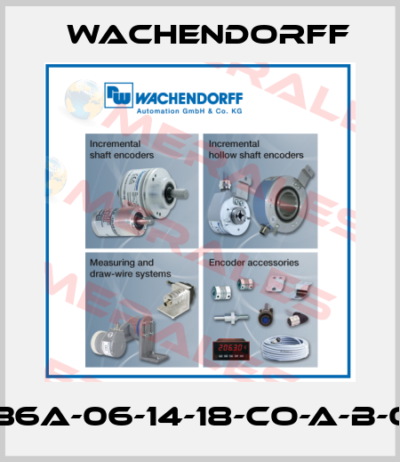 WDGA-36A-06-14-18-CO-A-B-0-0-CC5 Wachendorff