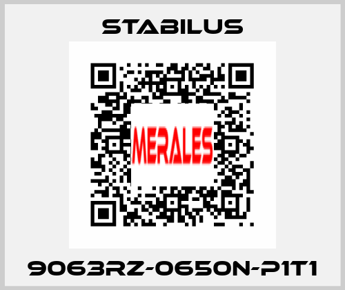 9063RZ-0650N-P1T1 Stabilus
