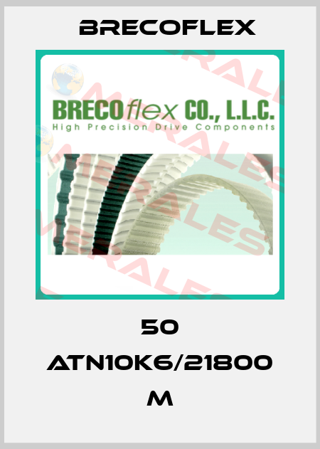 50 ATN10K6/21800 M Brecoflex