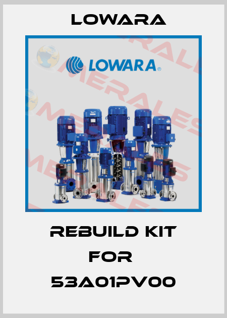Rebuild kit for  53A01PV00 Lowara