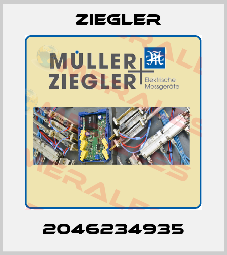 2046234935 Ziegler