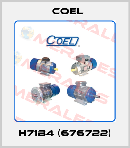 H71B4 (676722) Coel
