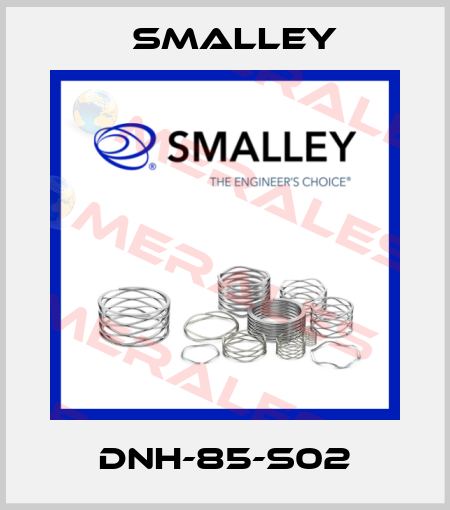 DNH-85-S02 SMALLEY