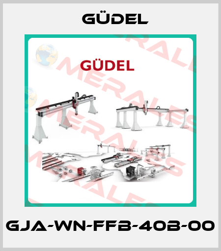 GJA-WN-FFB-40B-00 Güdel