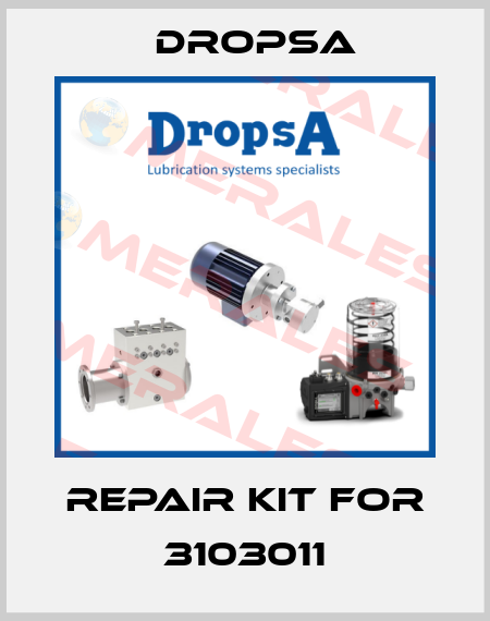 Repair kit for 3103011 Dropsa