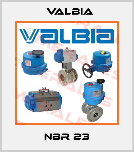 NBR 23 Valbia