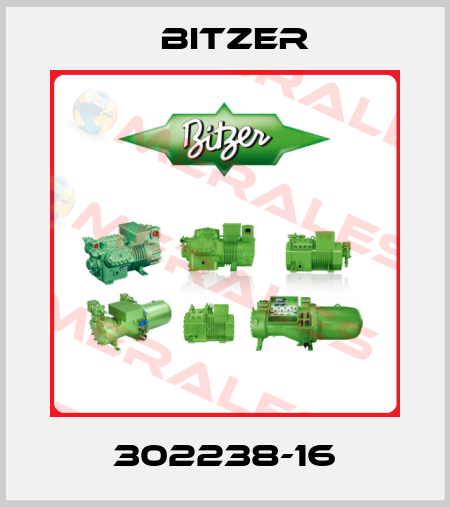 302238-16 Bitzer