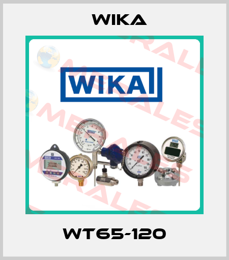 WT65-120 Wika