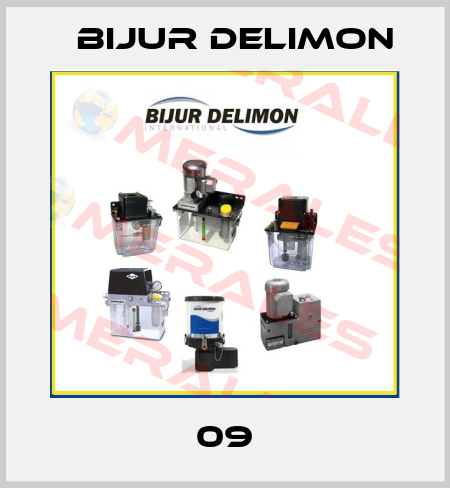В09В Bijur Delimon
