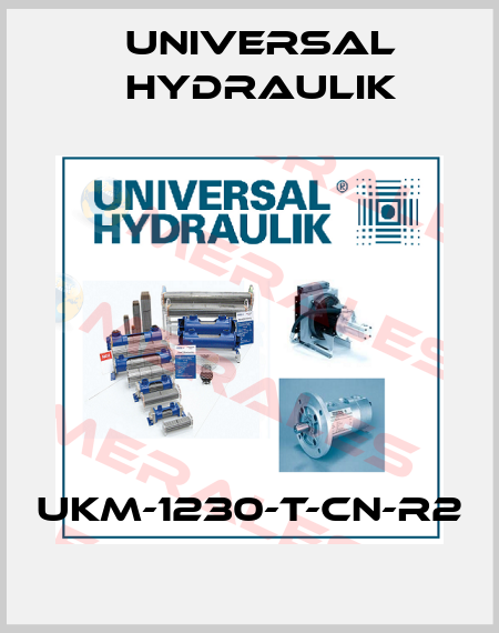 UKM-1230-T-CN-R2 Universal Hydraulik