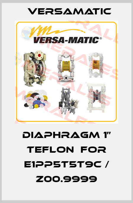 DIAPHRAGM 1” TEFLON  for E1PP5T5T9C / Z00.9999 VersaMatic