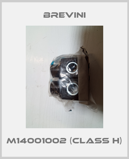 M14001002 (class H) Brevini