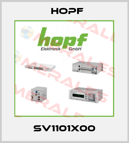 SV1101X00 Hopf