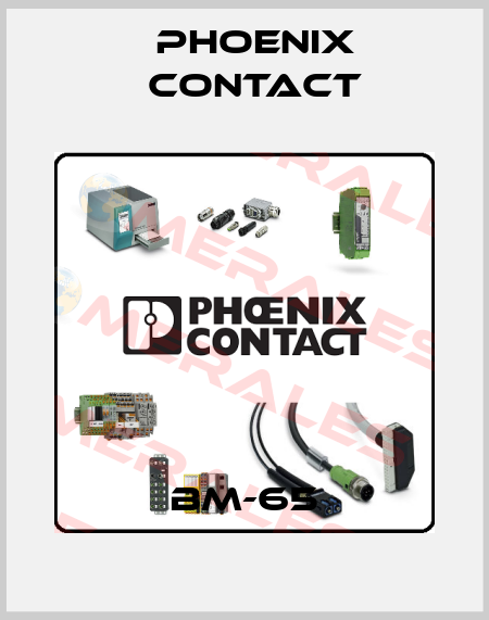 BM-65 Phoenix Contact