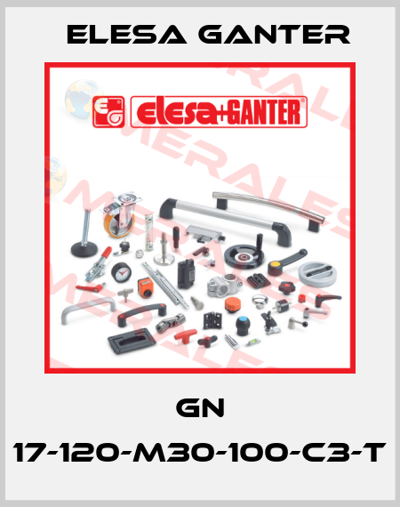 GN 17-120-M30-100-C3-T Elesa Ganter