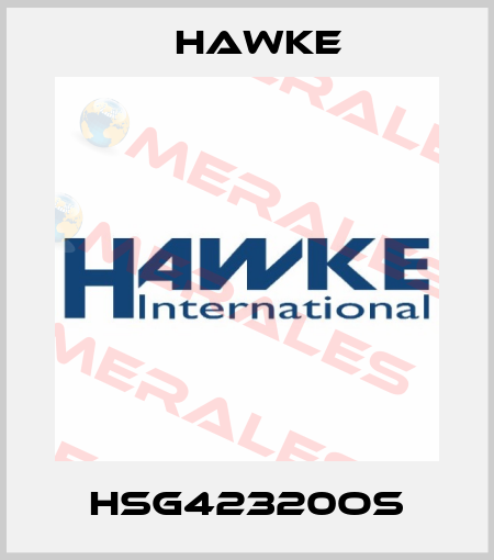 HSG42320OS Hawke