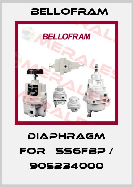 Diaphragm For 	SS6FBP / 905234000 Bellofram