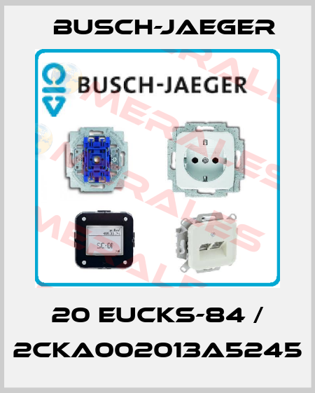 20 EUCKS-84 / 2CKA002013A5245 Busch-Jaeger
