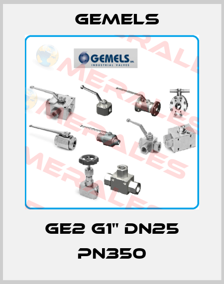 GE2 G1" DN25 PN350 Gemels