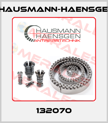 132070 Hausmann-Haensgen
