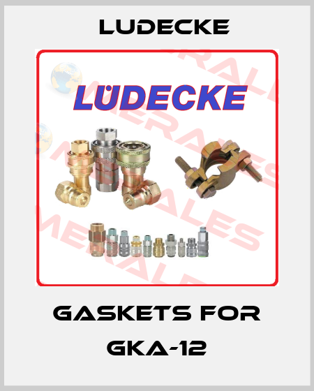 gaskets for GKA-12 Ludecke