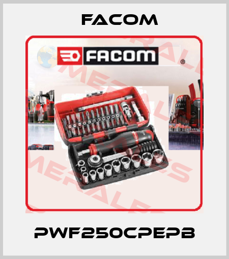 PWF250CPEPB Facom