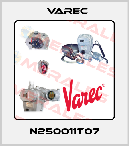 N250011T07 Varec