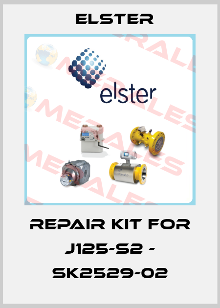 Repair kit for J125-S2 - SK2529-02 Elster