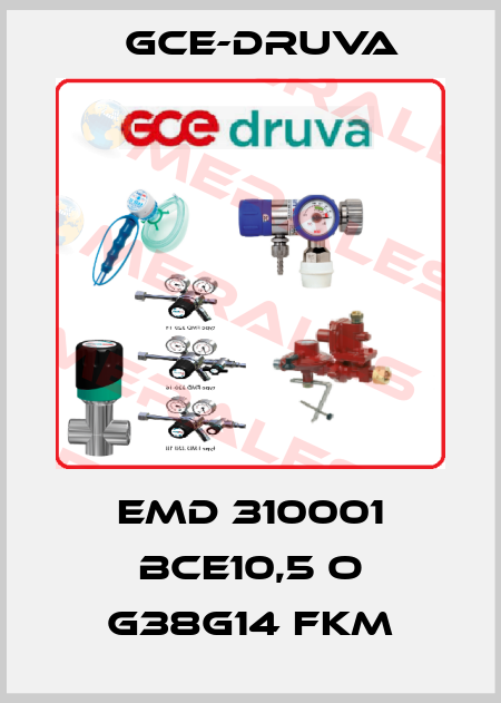 EMD 310001 BCE10,5 O G38G14 FKM Gce-Druva