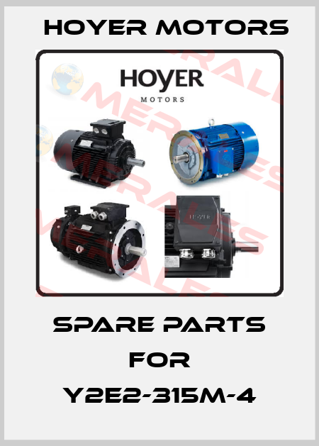 Spare parts for Y2E2-315M-4 Hoyer Motors