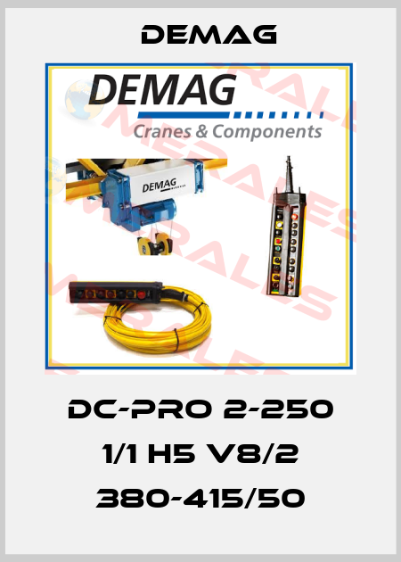DC-Pro 2-250 1/1 H5 V8/2 380-415/50 Demag