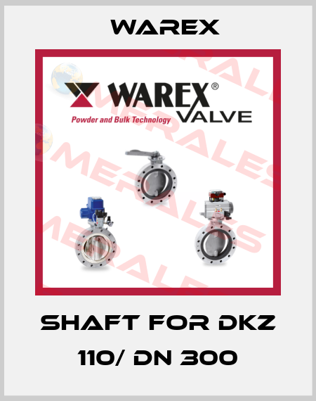 Shaft for DKZ 110/ DN 300 Warex