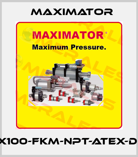GX100-FKM-NPT-ATEX-DIR Maximator