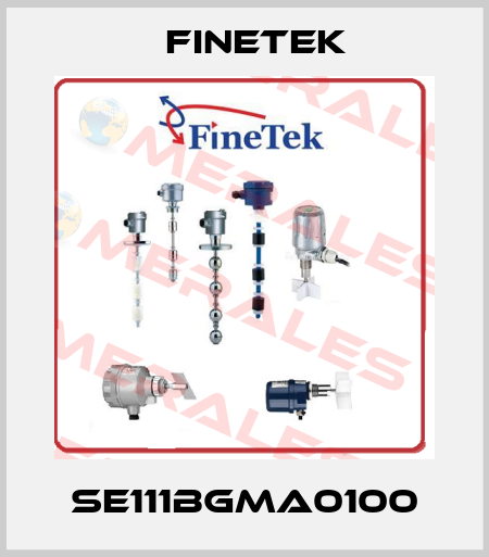 SE111BGMA0100 Finetek