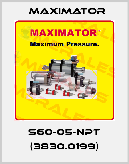 S60-05-NPT (3830.0199) Maximator