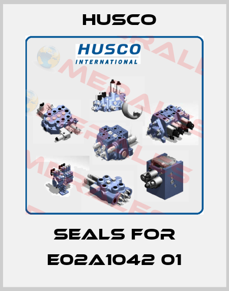seals for E02A1042 01 Husco